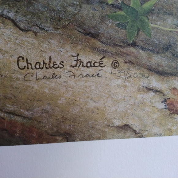 Charles Frace artist print. " Clouded Leopard Cub". Stamped signed and numbered - Picture 3 of 3